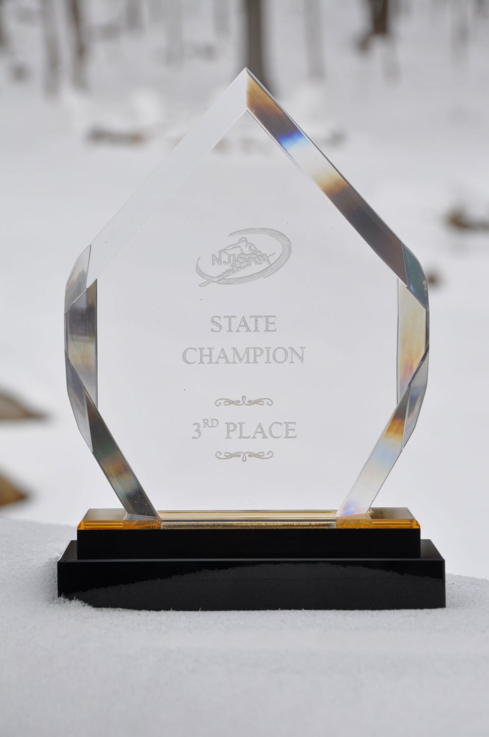 NJISRA 3rd Place State Champions 2019 Sparta Girls Team